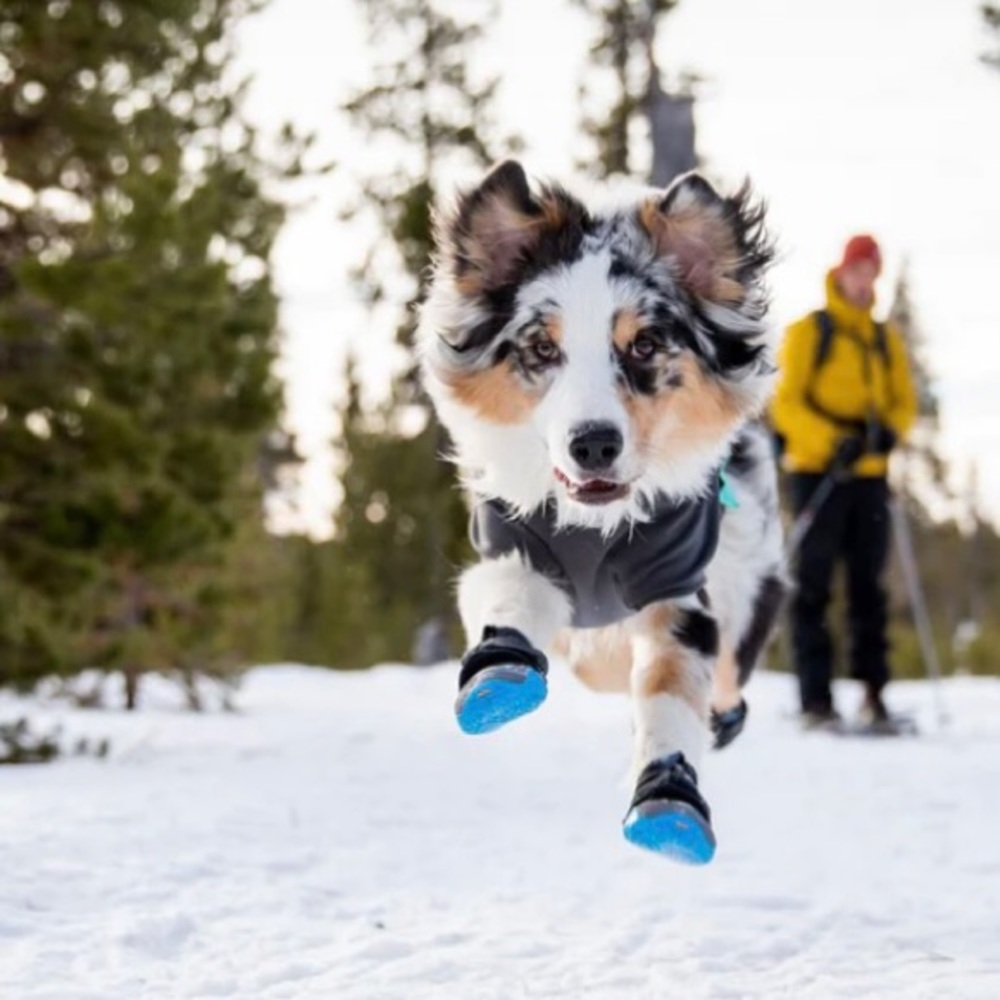 Ruff Wear dog booties